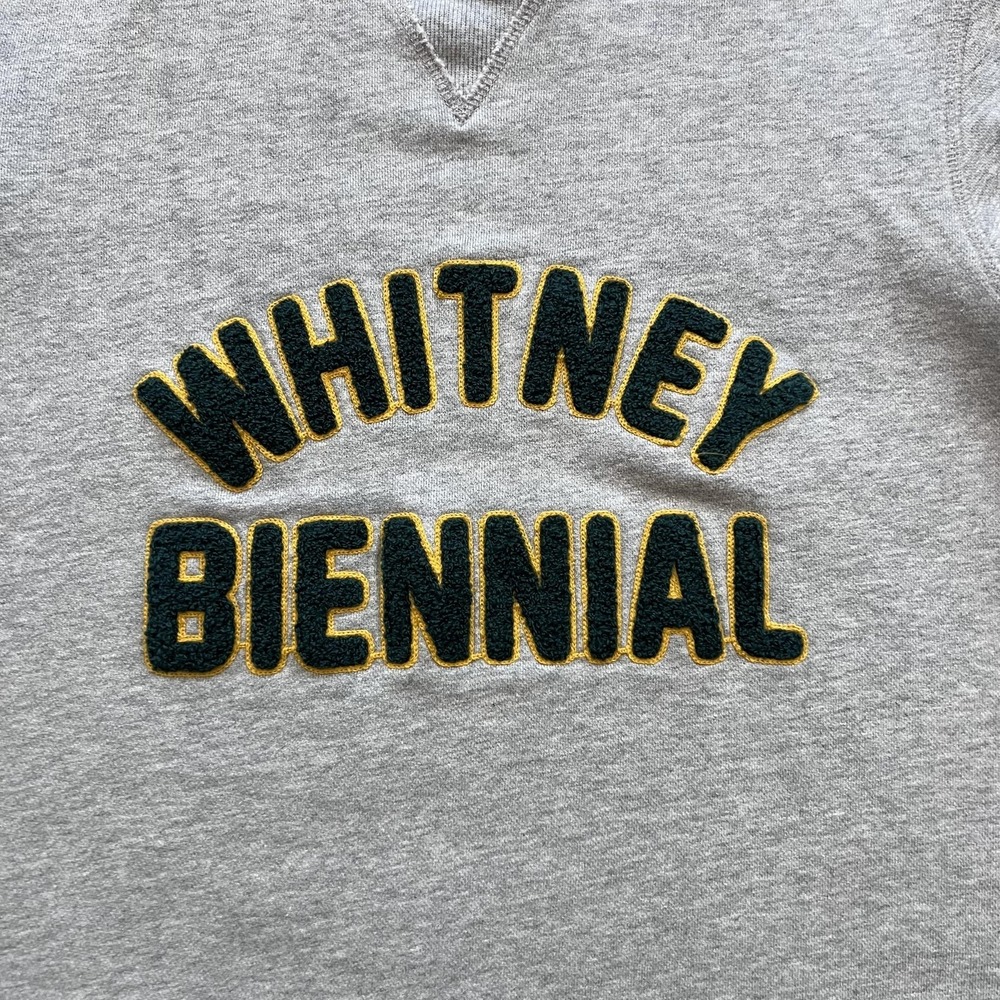 Hillflint X Whitney Shop Whitney Biennial Sweatshirt Mens Small Gray Graphic - Picture 5 of 15